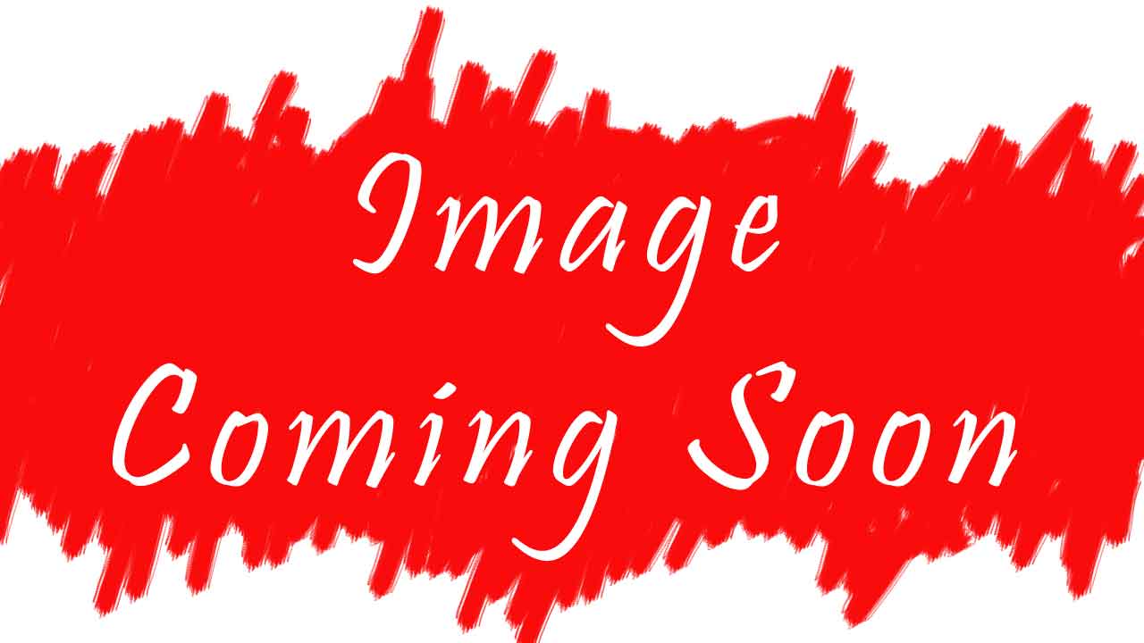 Seifemichael Tesfaye in Fitsum Kal